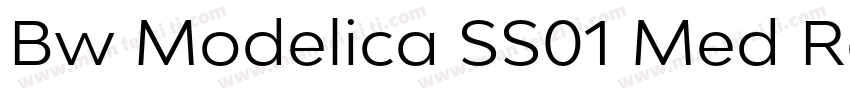 Bw Modelica SS01 Med Regular字体转换